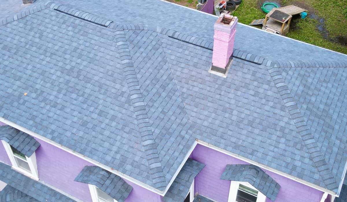 safeguard residential roof against pest damage Residential asphalt shingle roof structure showing areas vulnerable to pest entry and roof damage in suburban home setting