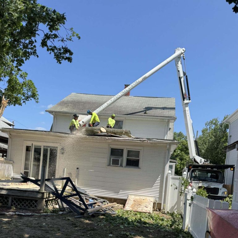 Vinyl Siding Storm Damage Repair Vinyl Siding Storm Damage Repair Insurance Claims: Homeowner's Guide to Filing and Getting Approved