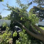 Commercial Roof Storm Damage