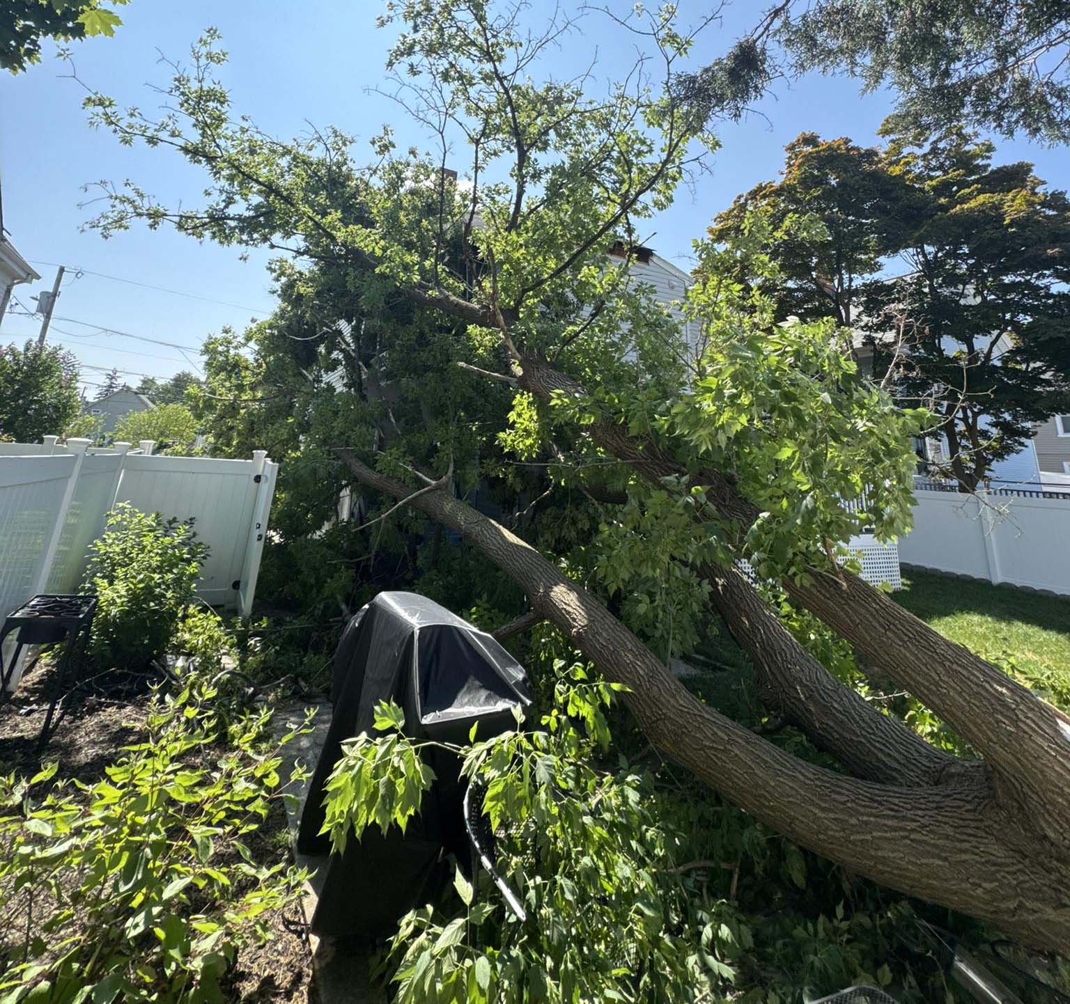 Commercial Roof Storm Damage