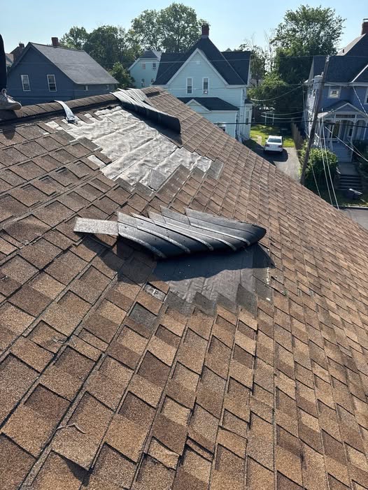 Wind Damage