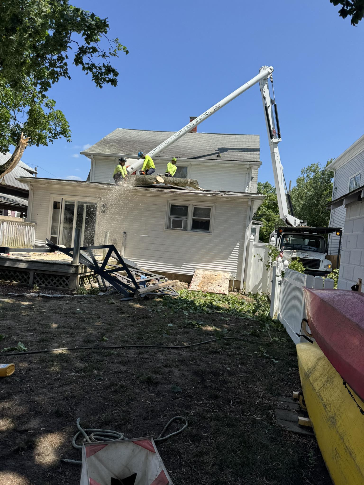Emergency Tree Damage Roof Assessment